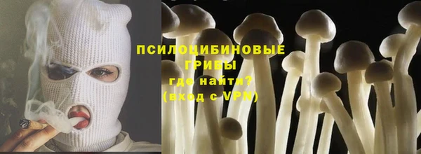 ешки Алзамай