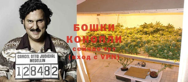стафф Вяземский