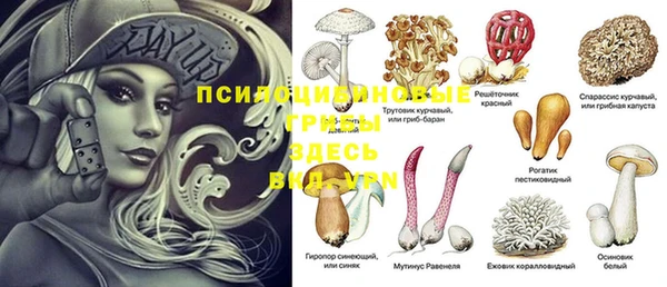 эйфоретик Абинск