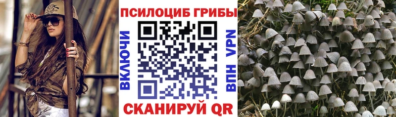 МЕГА tor  Ува  Галлюциногенные грибы прущие грибы  цена наркотик 